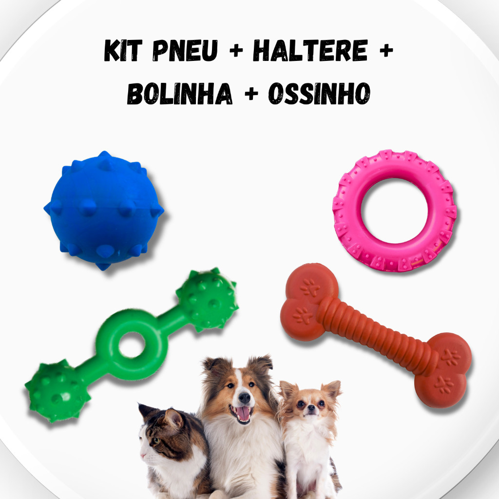 Brinquedos PET Pneu + Bolinha + Ossinho + Haltere Mordedores Maciços Cachorro Grande Cães