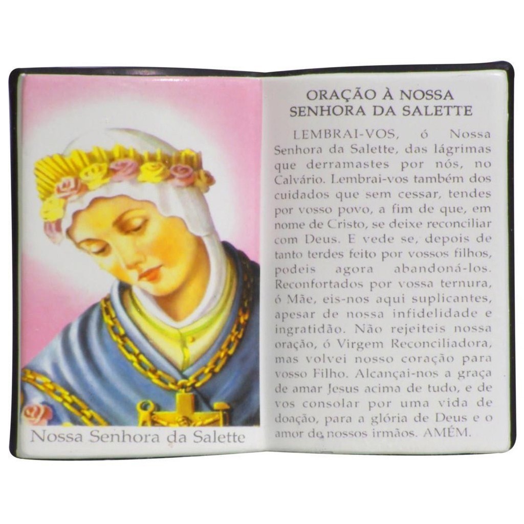 Enfeite Decorativo Em Resina Nossa Senhora Salete Livro