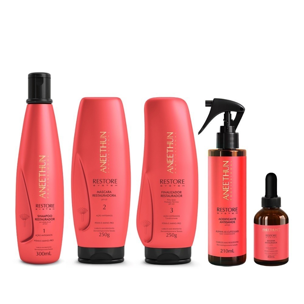Kit Completo Restore System Aneethun - 5 Produtos +Lembrancinha