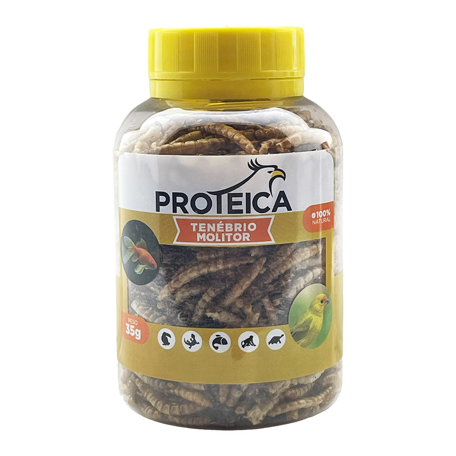 Tenébrio Desidratado pote -  35G - PROTEICA em Oferta na Shopee