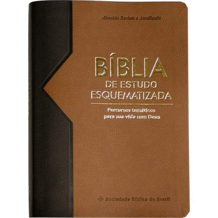 Bíblia de Estudo Esquematizada | ARA | Letra Normal | Capa Luxo Marrom em Oferta na Shopee