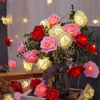 2M Luz De Fada Rosa LED Com Corda Para Festa de Casamento Aniversario Decoração em Oferta na Shopee