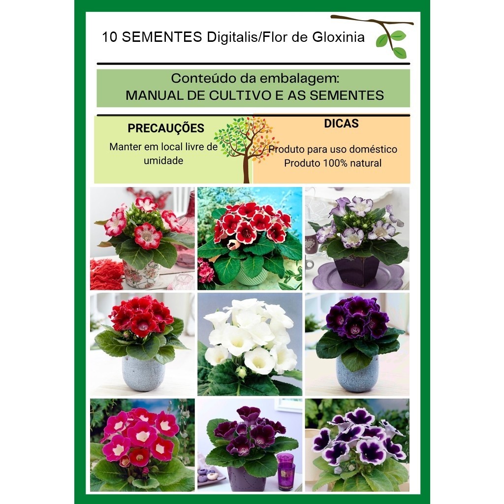 Digitalis/Flor de Gloxinia Sortida 10 sementes em Oferta na Shopee