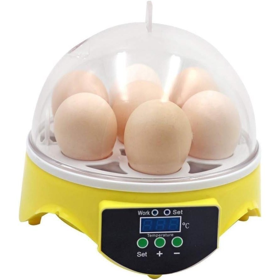 Mini Chocadeira Ovos Galinha Pato Semi Automática Incubadora