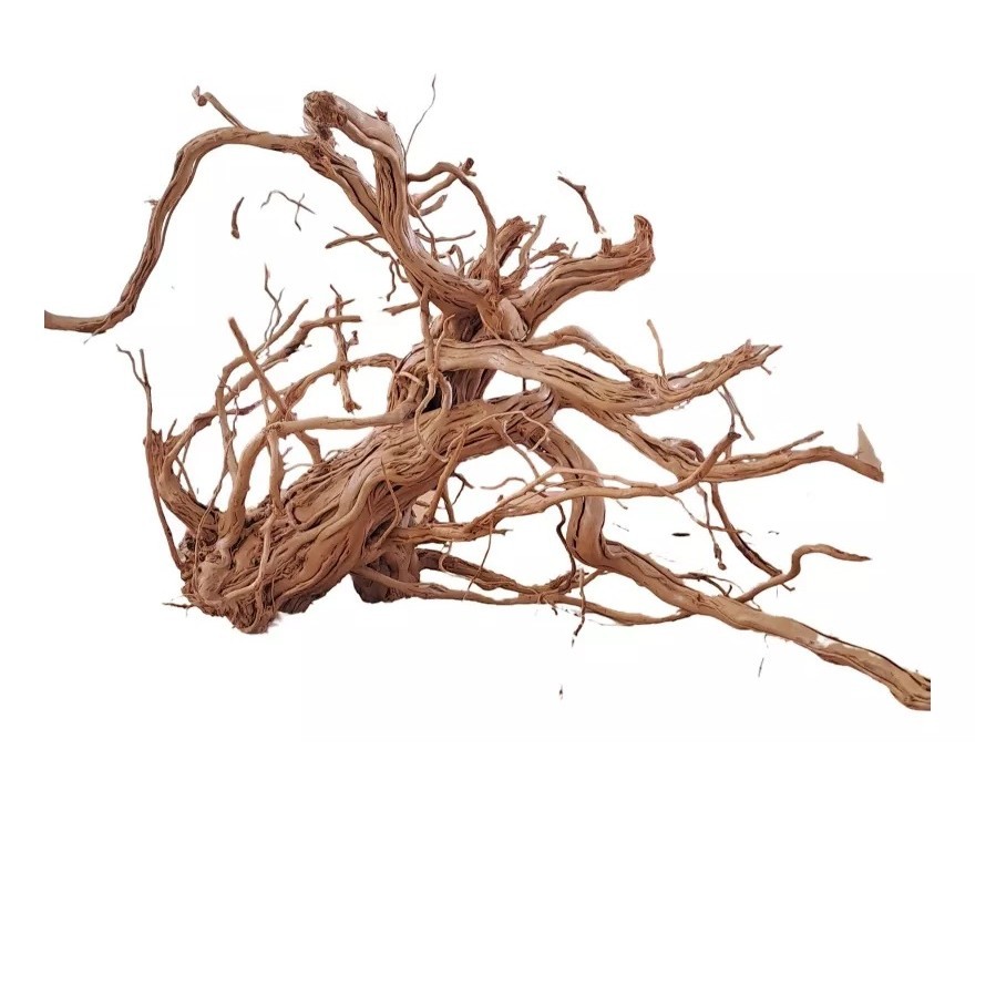 Raiz Natural Soma Spider Root Mix 1 Kg
