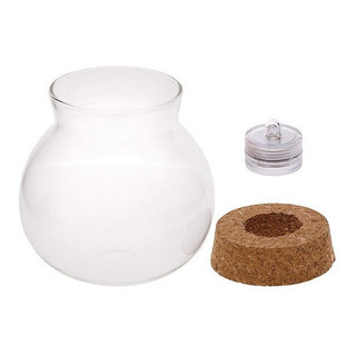 Vaso De Vidro Para Terrário Com iluminação Led 10x11 em Oferta na Shopee