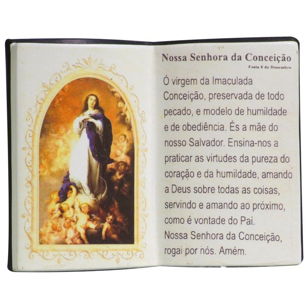 Porta Caneta Decorativo Resina Livro Imaculada Conceição