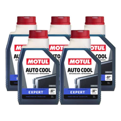 KIT MOTUL AUTO COOL EXPERT -37 GRAUS 5 LITROS