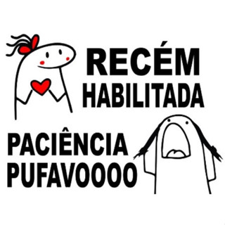 Adesivo Recém Habilitada Paciência Pufavoo em Oferta na Shopee