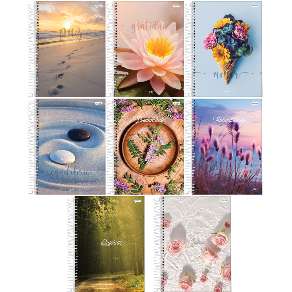 Kit 4 Cadernos Universitário 10 Matérias 160 Folhas Capa Dura 20x27cm Paz Jandaia Capas Sortidas