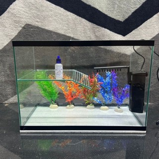 aquário para tartaruga 43 litros 50*35*25 aquaterrario com bomba/filtro+plantas+anticloro em Oferta na Shopee