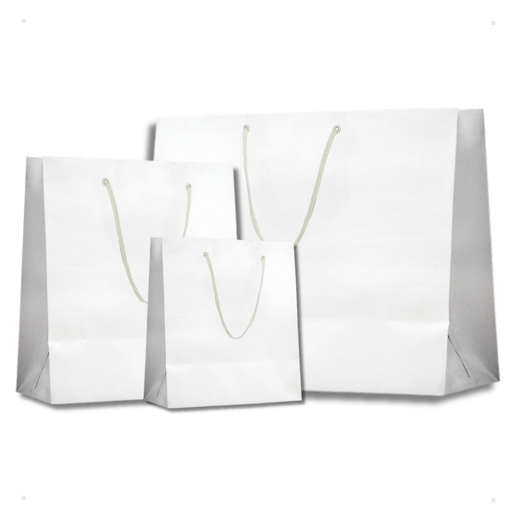 Sacola Papel Branca Branco Alça PP, P, M, G, GG 10 Unidades Lembrancinhas Presentes Embalagem em Oferta na Shopee