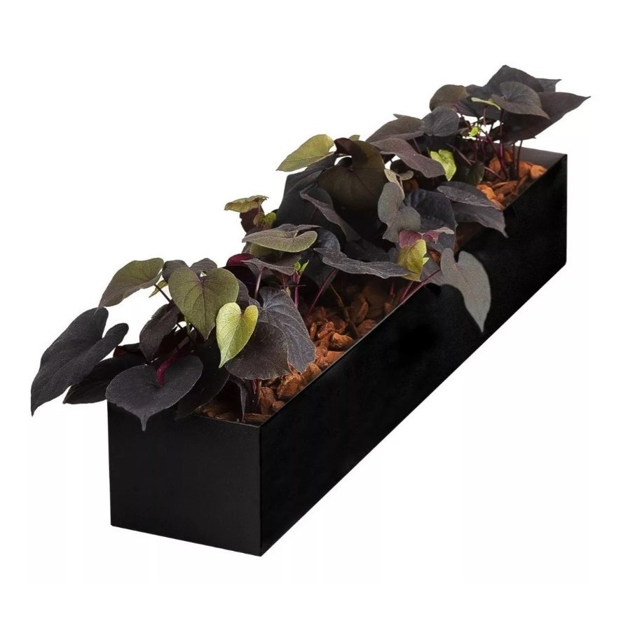 Cachepot Floreira Jardineira Linear Em Metal Suculenta 60cm