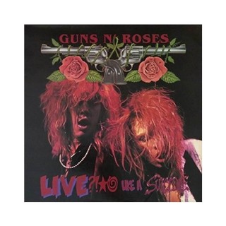 CD Guns N