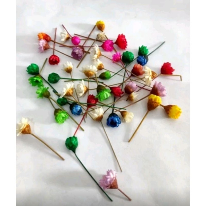 Micro Flores Sempre Vivas Cores Sortidas - Decoração Festas Artesanato Enchimento DIY