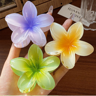 Estilo Havaiano Plumeria Colorful Flower Hairpin Grips Clipes Barrettes Acessórios Headwea...