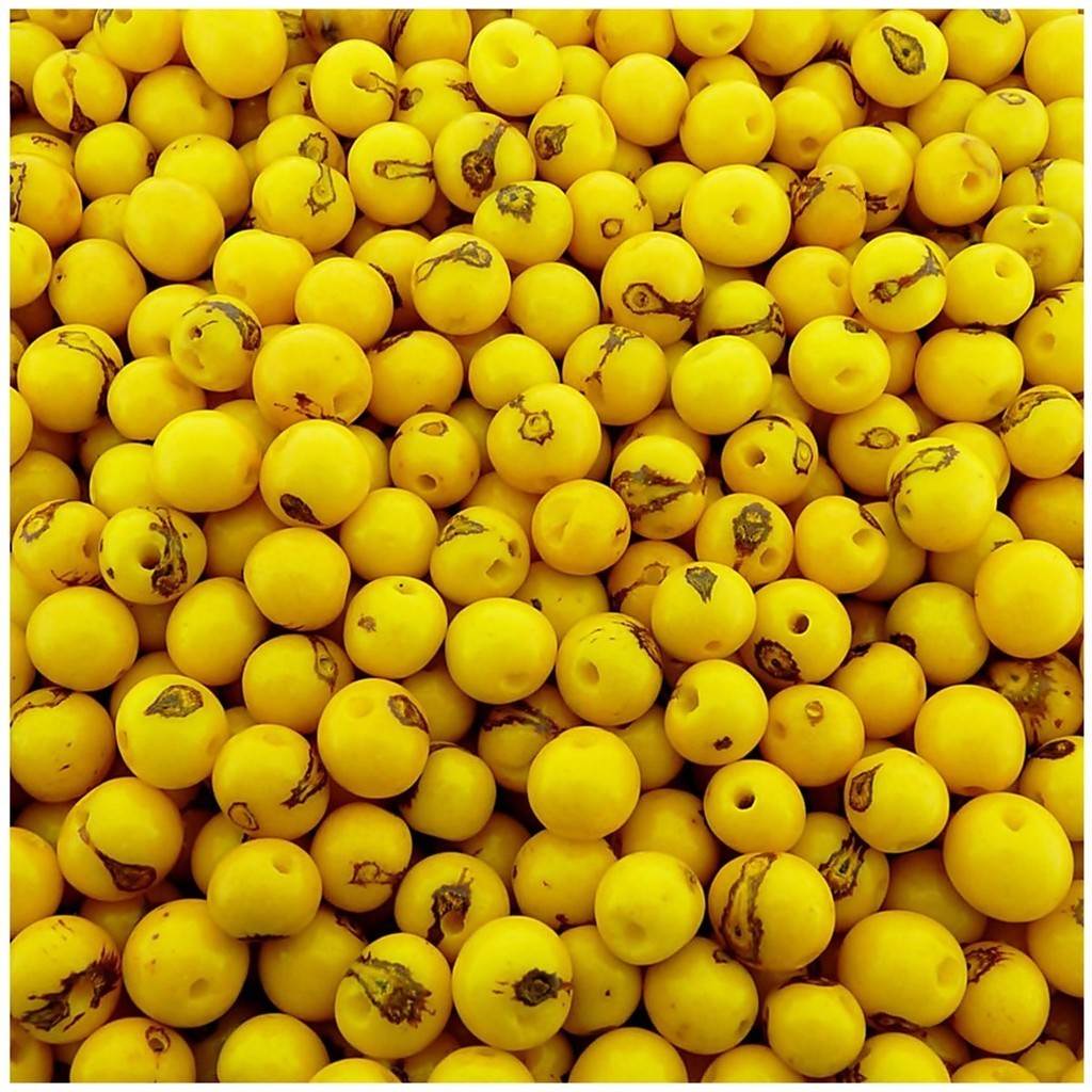 Semente De Açaí Natural Amarelo 8mm 100 Peças - Artesanato Bijuterias Pulseiras