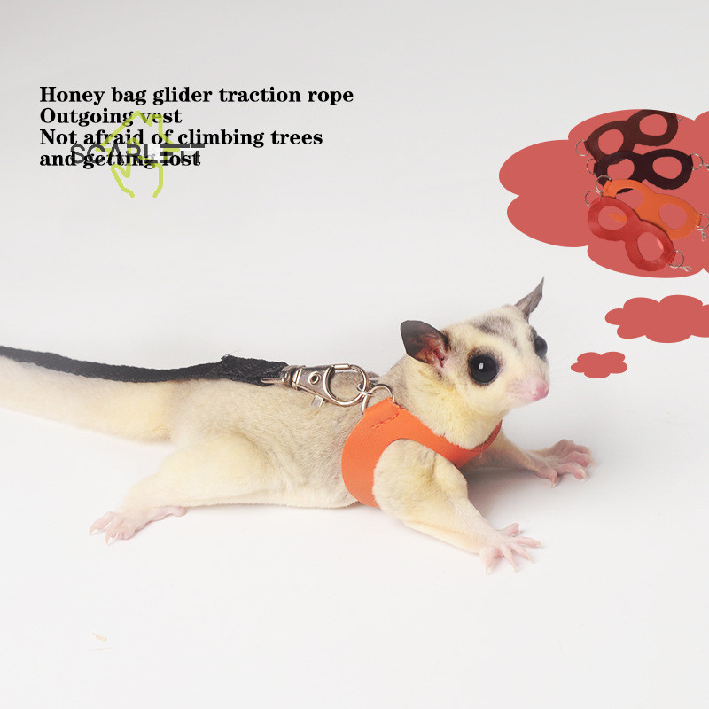 [Scarlett] 4Pcs Small Pet Leash Anti-Lost Chest Strap for Hamster Squirrel Sugar Glider [Preferred]