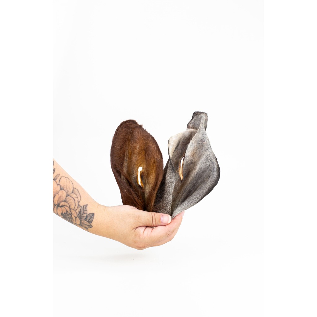 Orelha Bovina Mastigável 100% Natural - 2un em Oferta na Shopee