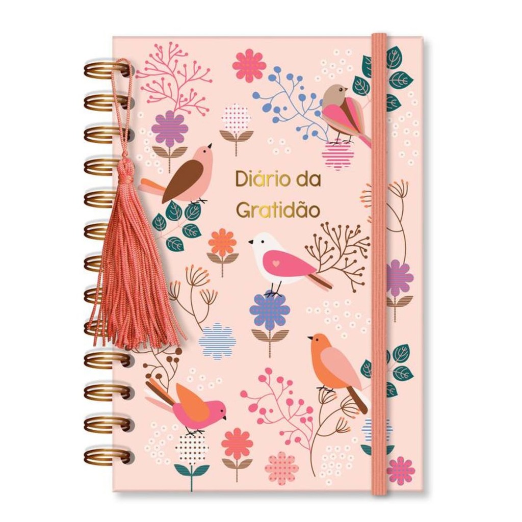 Imagem Diario da Gratidao Leve Amor