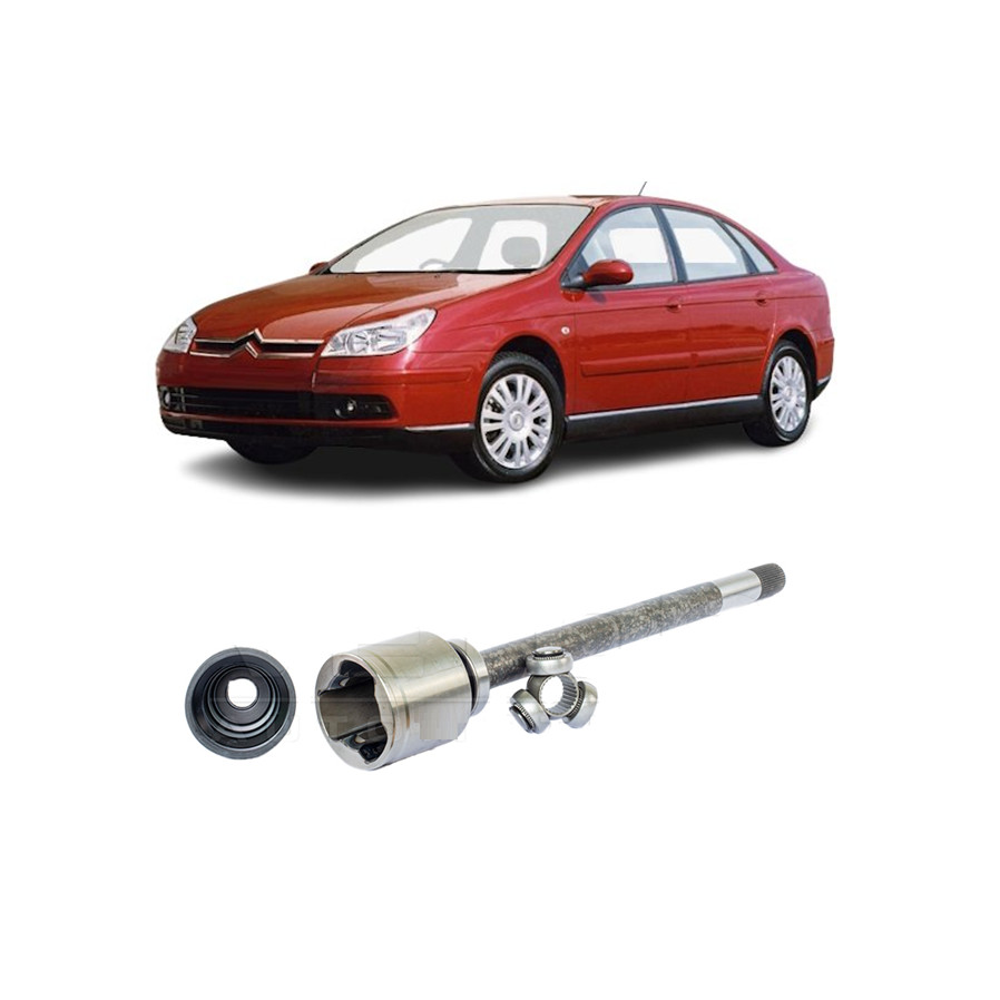 TULIPA VETOR CITROEN C5 3.0 V6 01 08 LADO DIREITO