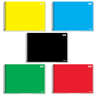 Caderno Cartografia e Desenho Espiral 80 Folhas Credeal em Oferta na Shopee