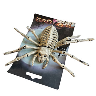 Decoração Halloween Aranha esqueleto Falsa 22x13cm Decoração, Estudo, Terror, Escola, Plástico, Festa em Oferta na Shopee