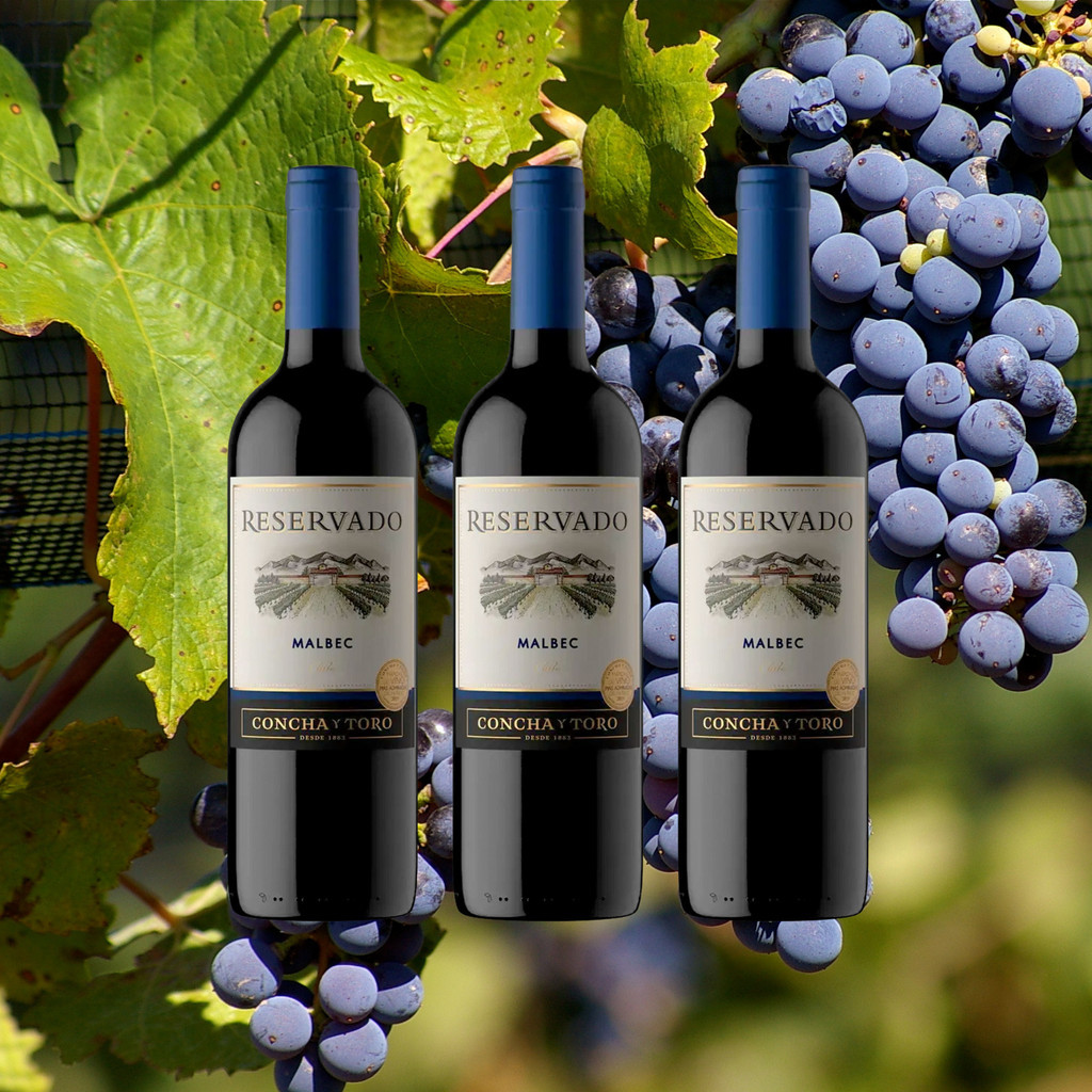 Kit 3 Vinhos Malbec 750ml - Concha Y Toro - Food & Beverages