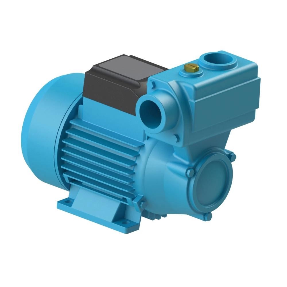 Bomba D'Água 1/2 CV Periferica DPA-40 95280005 Bivolt DANCOR em Oferta na Shopee
