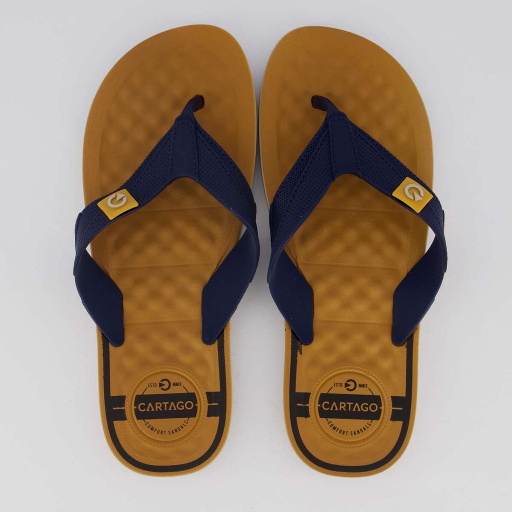 Chinelo Cartago Arizona II Marrom e Marinho em Oferta na Shopee