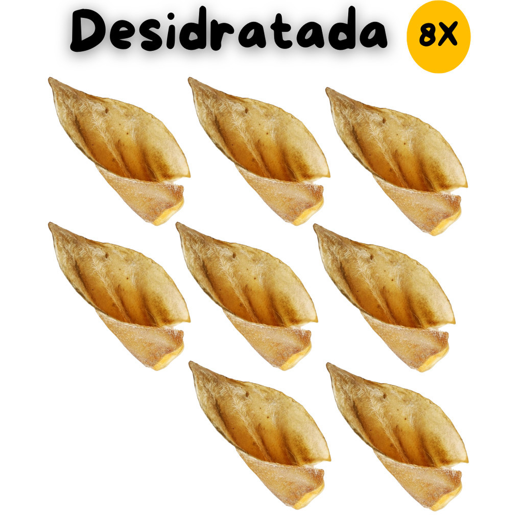 Kit 8 Petisco Natural Orelha Bovina Desidratada Mordedor Cão Cachorro PET Osso