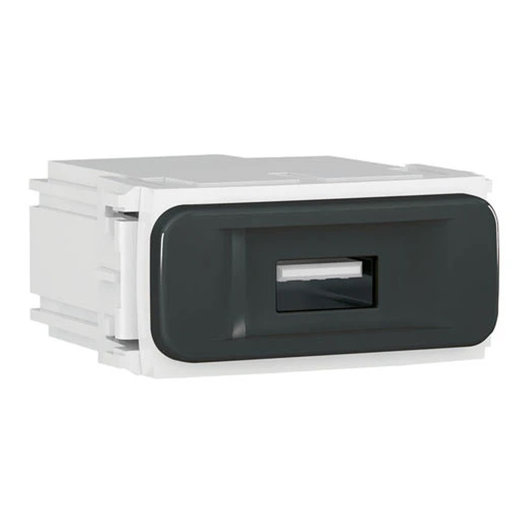 Módulo Tomada Carregador 1 Entrada Usb 1 Módulo Bivolt Weg