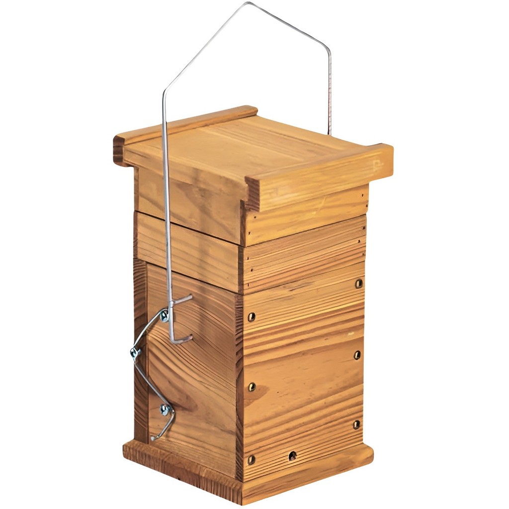 Colmeia Abelha Jatai | BuscaProdutos