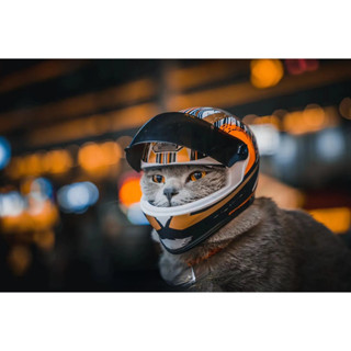ATUBAN Capacete De Motocicleta Para Animais De Estimação , Rosto Inteiro Ao Ar Livre Equitação , Chapéu Gato , Filhote D em Oferta na Shopee