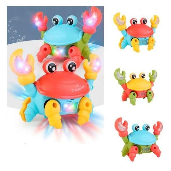 Caranguejo: Guia Completo e Onde Comprar | BuscaProdutos