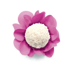 40~200 Forminhas para Doces Finos Style Rosa Neon (CHOCO)