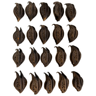 Kit 20 Fava Garra de Exu Pombagira Umbanda Candomblé em Oferta na Shopee