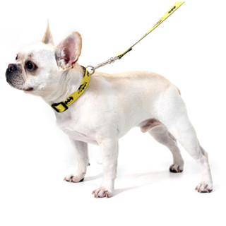 Coleira Batman - Sula Pet - Liga Da Justiça em Oferta na Shopee