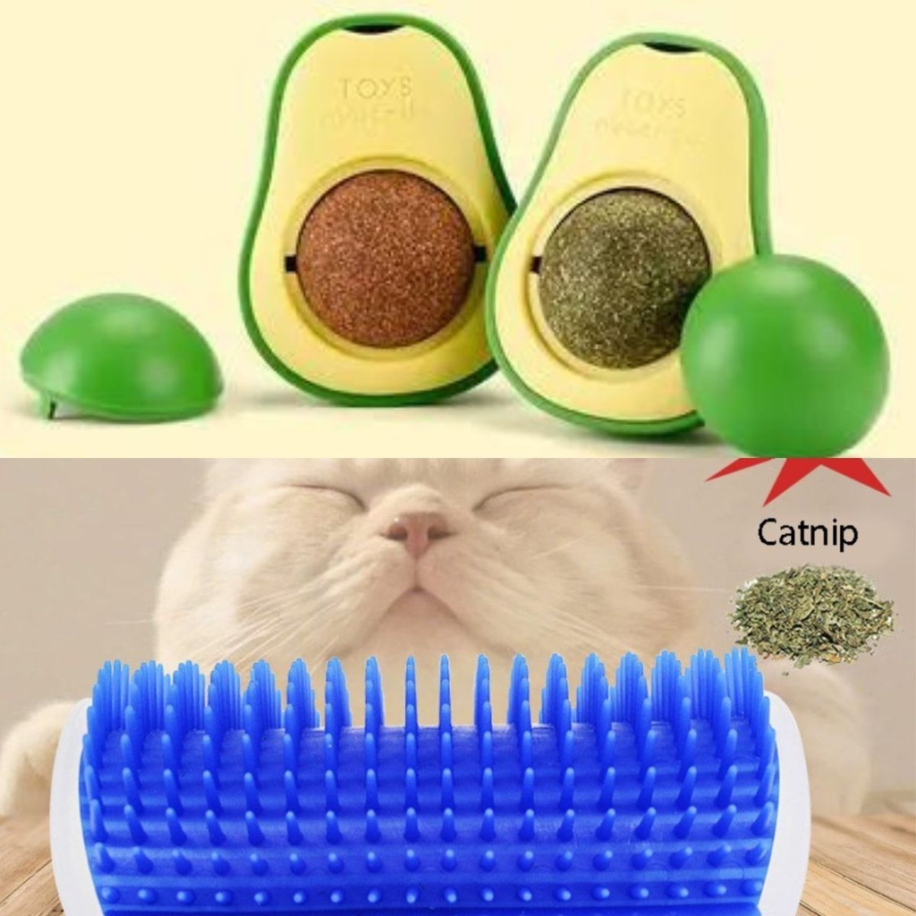 Kit 2 Brinquedos para Gato Interativo Pet Abacate com Catnip e Escova Massageadora de Parede