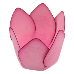 Forminha Para Doces Finos - Monaco - Chiclete - 50 unidades - Decora Doces - Rizzo