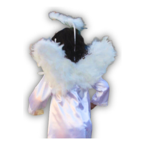 Asinha de Anjo: Guia Completo e Onde Comprar | BuscaProdutos