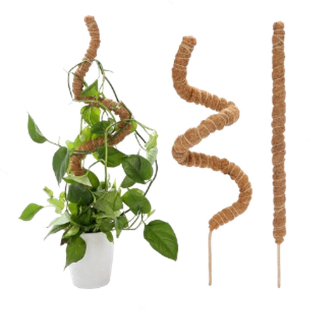 Tutor Estaca Bastão Planta Trepadeira Fibra Coco 120cm Flexivel em Oferta na Shopee