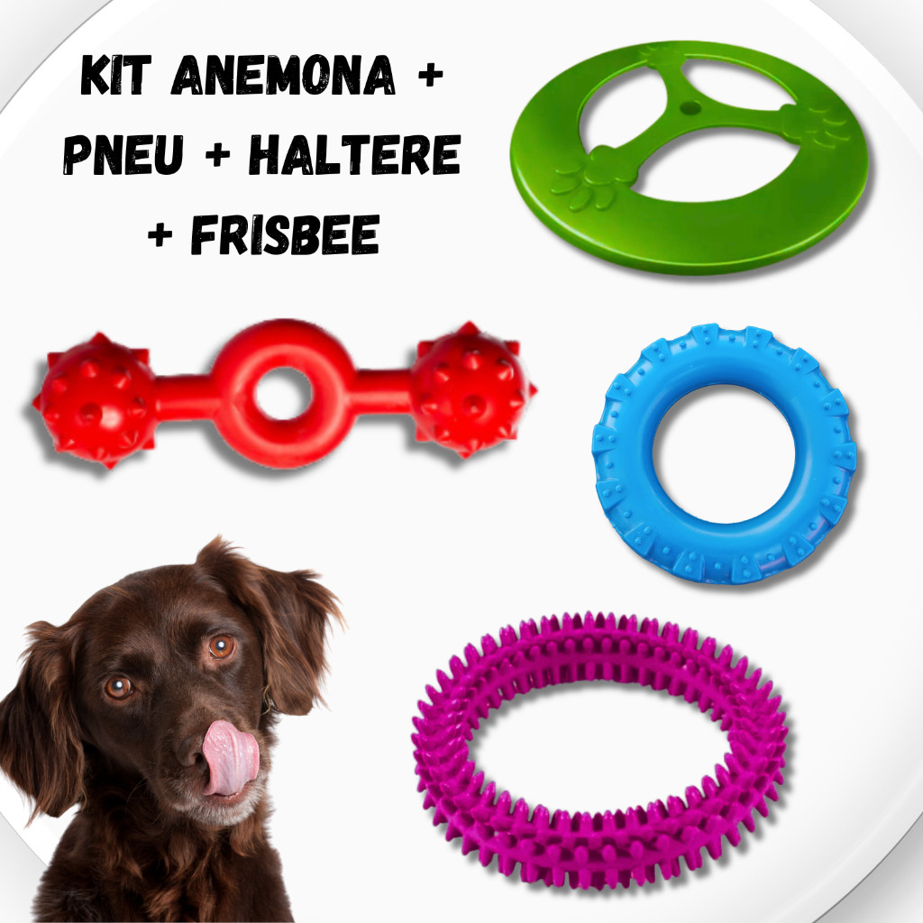 Kit 1 Frisbee + 1 Pneu + 1 Haltere + 1 Anêmona Brinquedos Maciços Mordedores de Cachorro Porte P/M