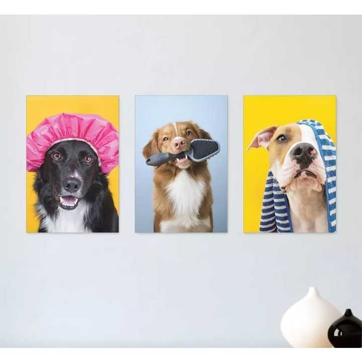 QUADROS DECORATIVOS 20X30 PET SHOP