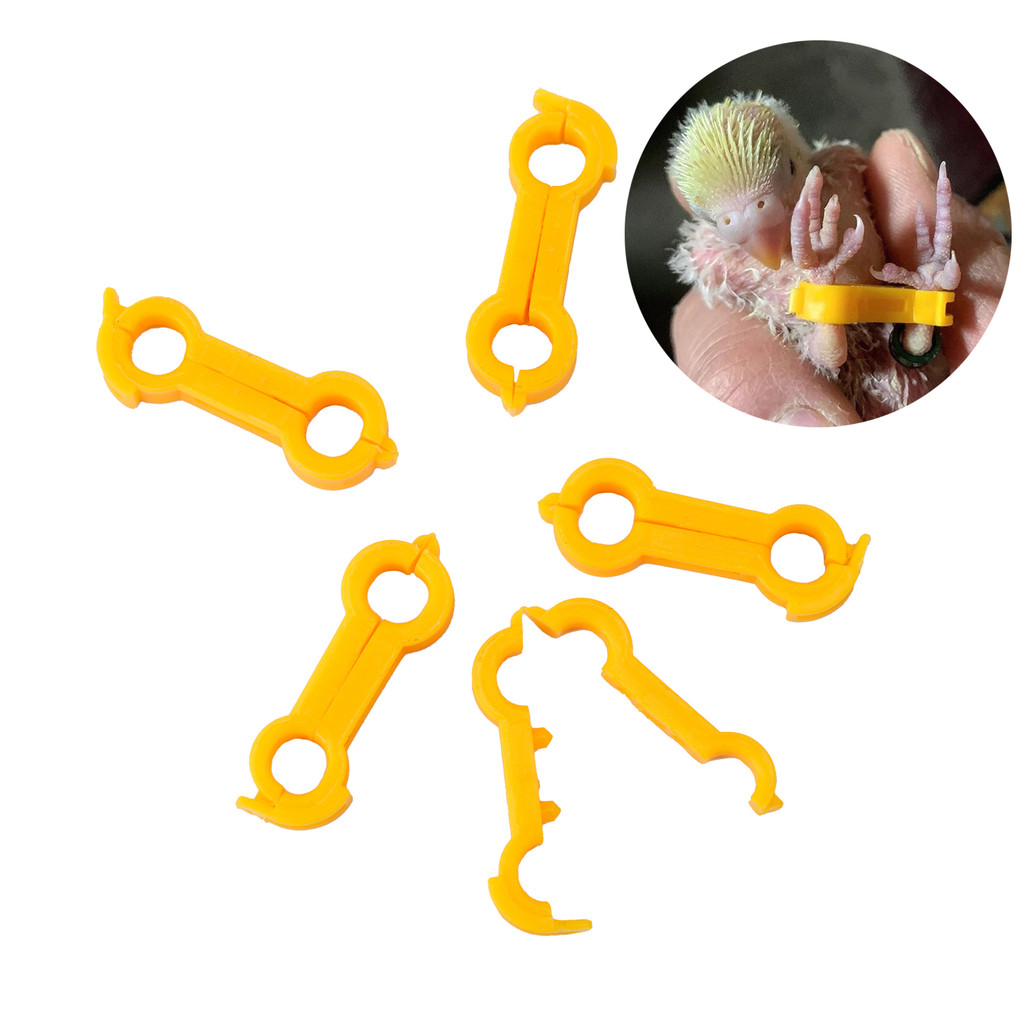 5 Pçs Pernas De Pássaro Correção Perna Anel Frango Papagaio Jovem Corrector Fivela 4mm/5mm/6mm Diâmetro Interno