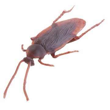 3 Baratas de Brinquedo Mentira Realista Simulação Borracha Pegadinha Mágica