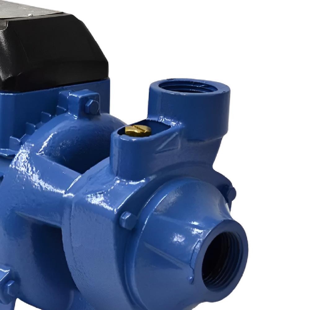 Detalhes do Bomba D'Água Periférica 1 CV DP-80 Monofásico DANCOR