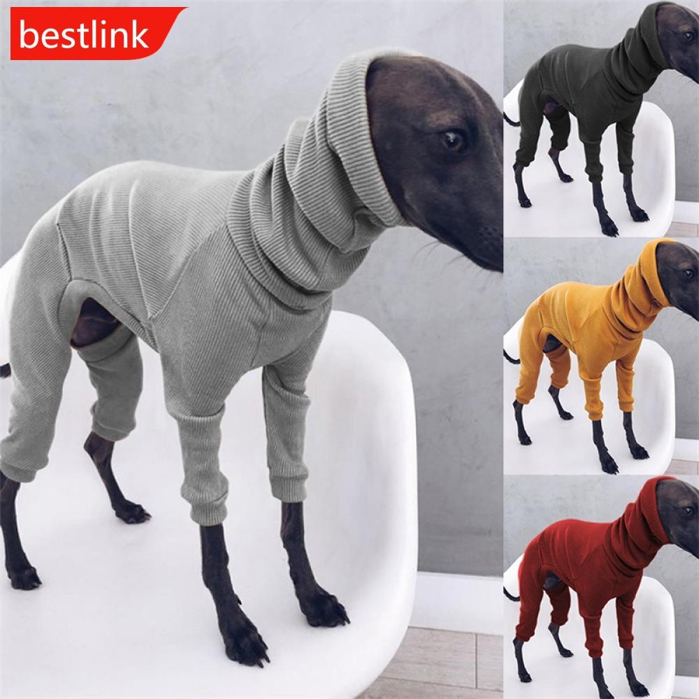 Costela Alta: Guia Completo e Onde Comprar | BuscaProdutos