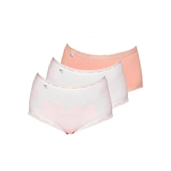 Kit com 3 Calcinhas Alta Star Max Triumph 24649 Colorido