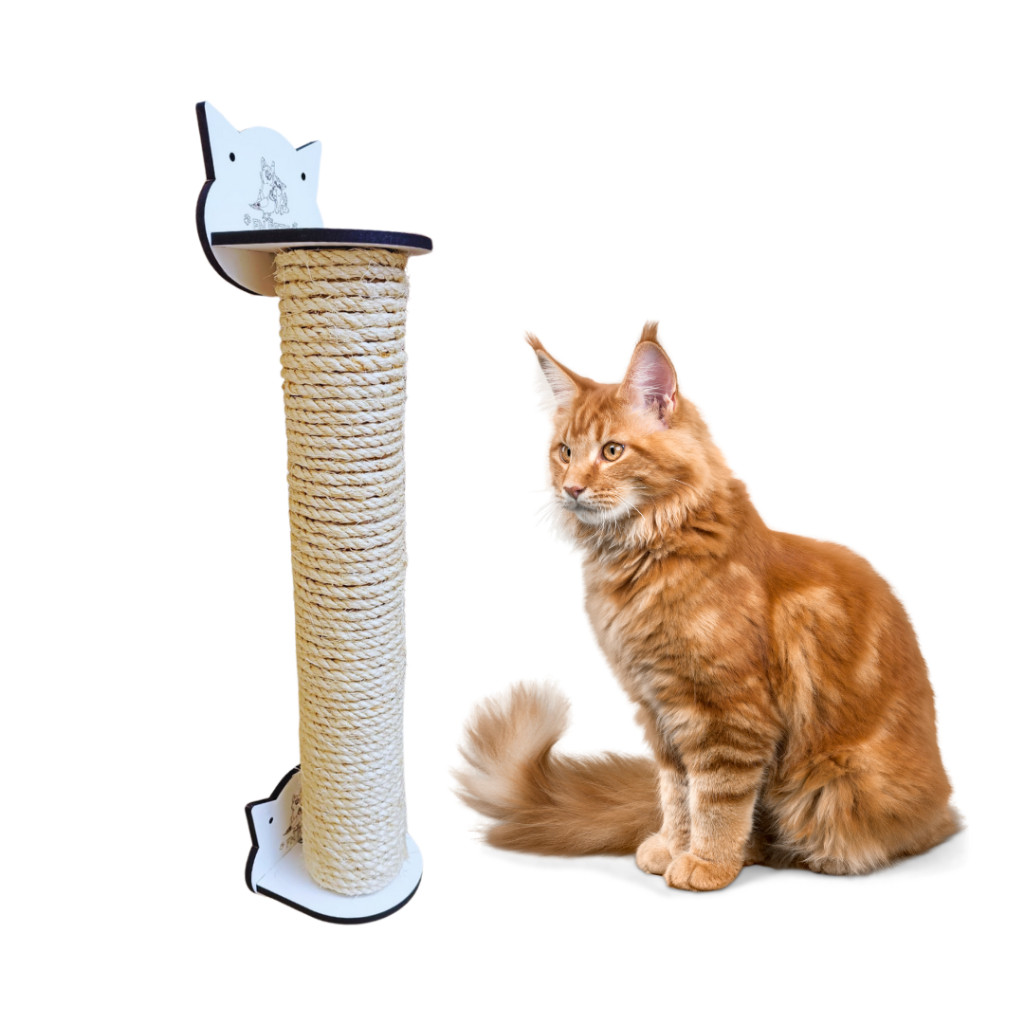 arranhador gato parede arranahdor para gatos com proteção sofá pra gato,casa de papelão Protetor Pet